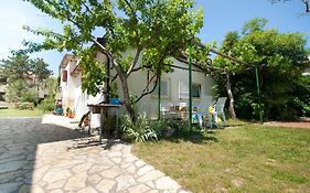 Sunny Grandma'S Garden Apartment